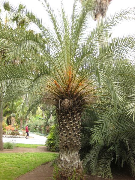 File:IMG 4035 hunt0904.jpg