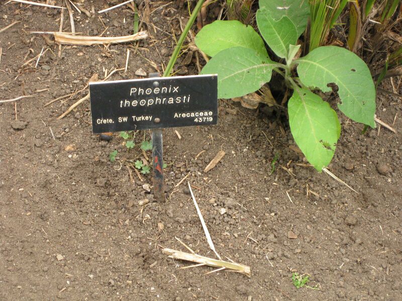 File:IMG 4036 hunt0904.jpg