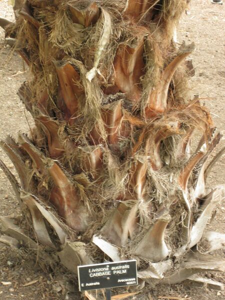 File:IMG 4038 hunt0904.jpg