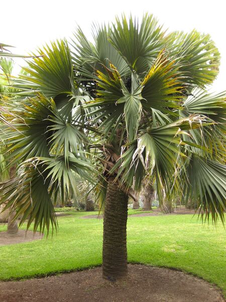 File:IMG 4039 hunt0904.jpg