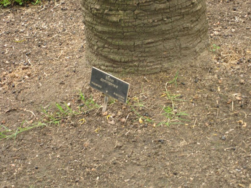 File:IMG 4041 hunt0904.jpg