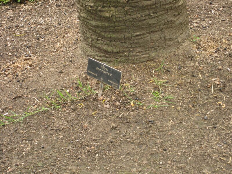 File:IMG 4042 hunt0904.jpg