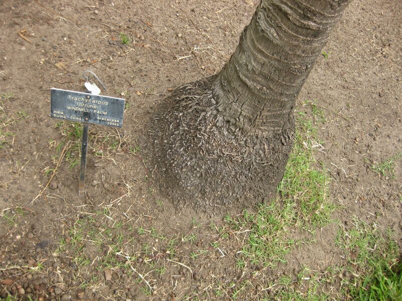 File:IMG 4045 hunt0904.jpg