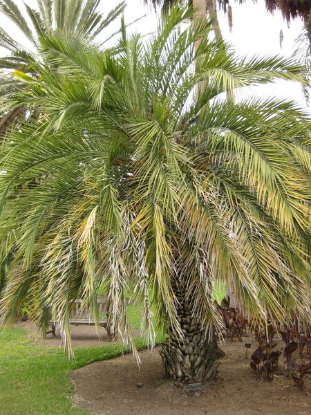 File:IMG 4046 hunt0904.jpg