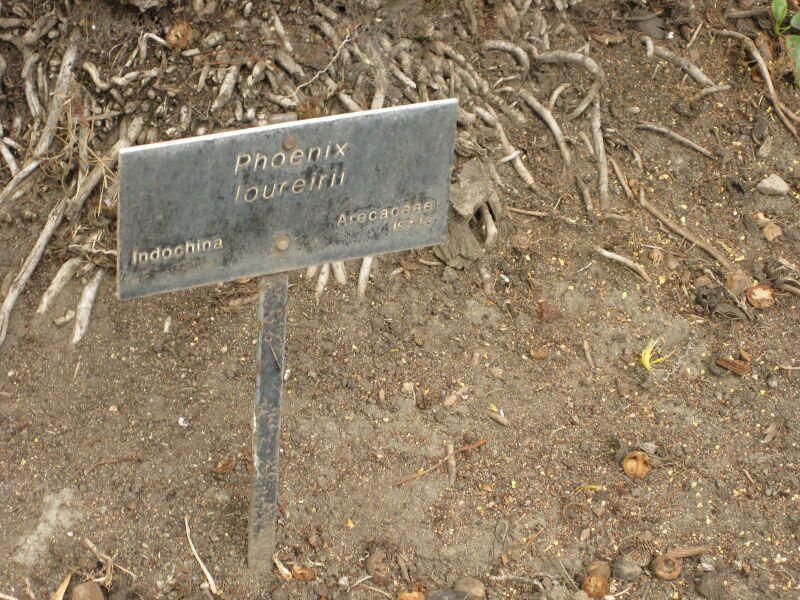 File:IMG 4047 hunt0904.jpg