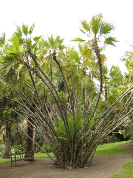 File:IMG 4048 hunt0904.jpg