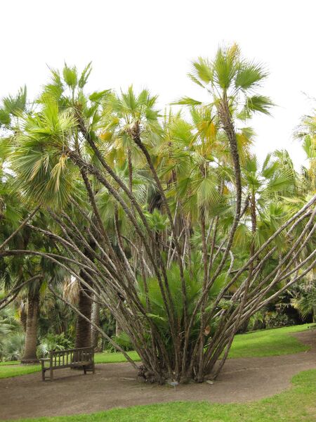 File:IMG 4049 hunt0904.jpg