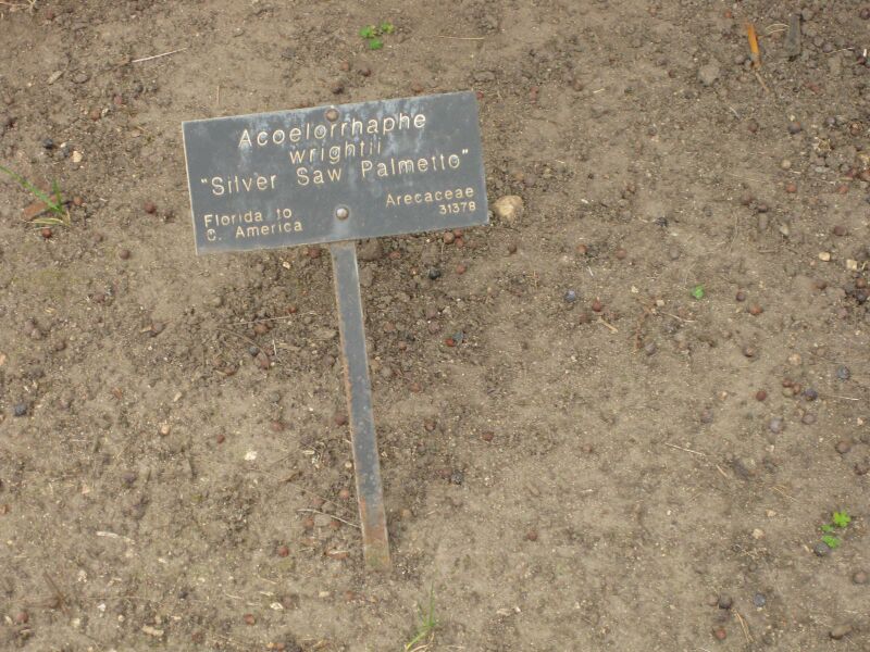 File:IMG 4050 hunt0904.jpg