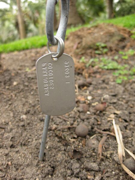 File:IMG 4052 hunt0904.jpg