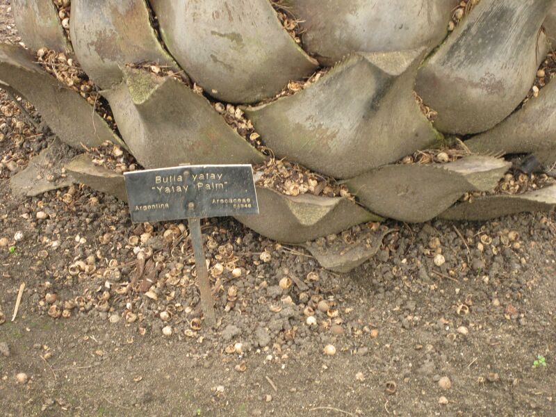 File:IMG 4055 hunt0904.jpg