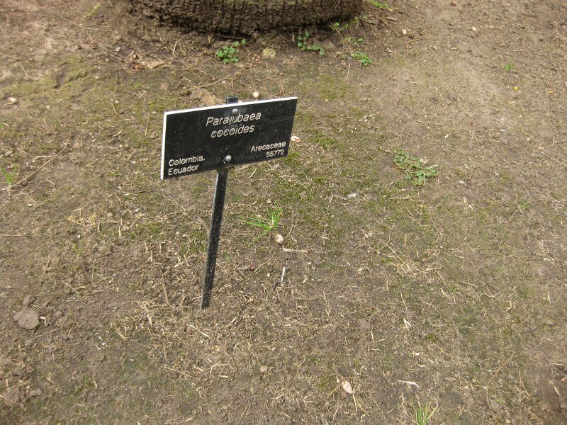 File:IMG 4058 hunt0904.jpg