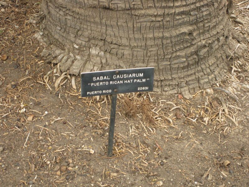 File:IMG 4060 hunt0904.jpg