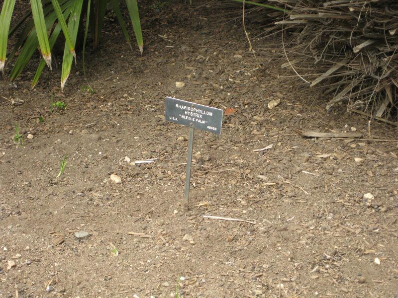 File:IMG 4063 hunt0904.jpg