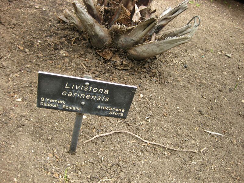 File:IMG 4065 hunt0904.jpg