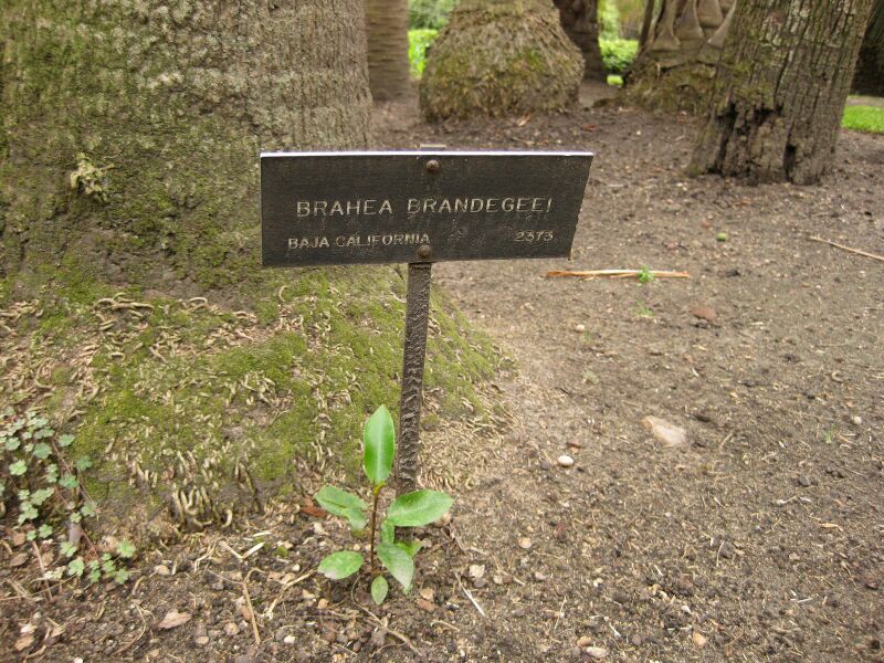 File:IMG 4067 hunt0904.jpg