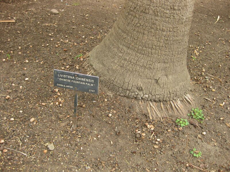 File:IMG 4069 hunt0904.jpg