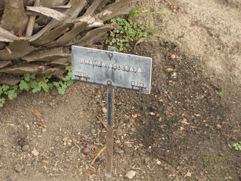 File:IMG 4071 hunt0904.jpg