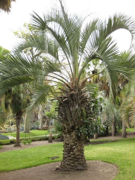 File:IMG 4072 hunt0904.jpg