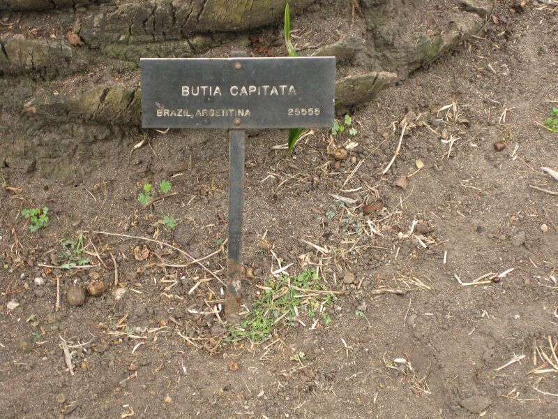 File:IMG 4073 hunt0904.jpg