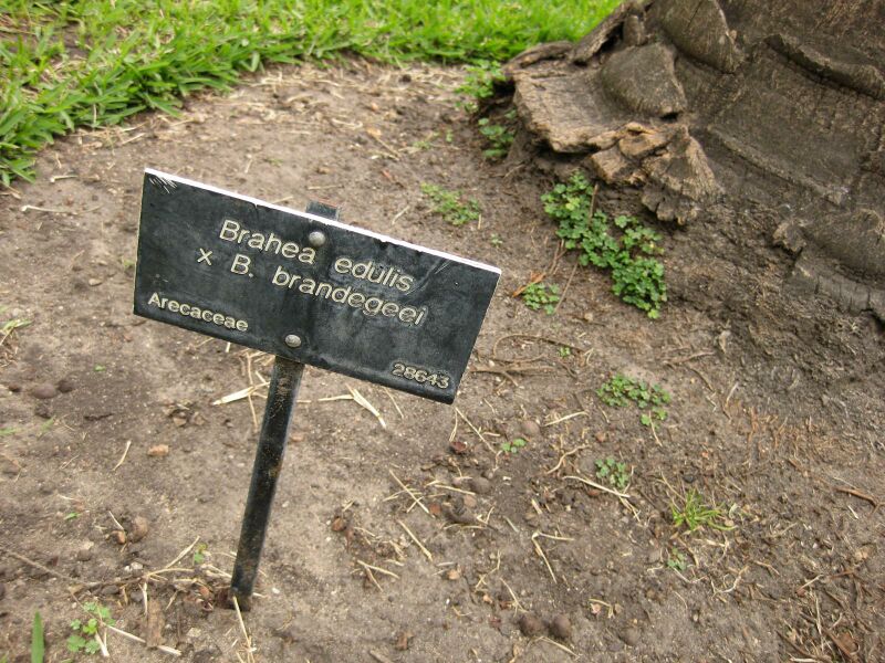 File:IMG 4075 hunt0904.jpg