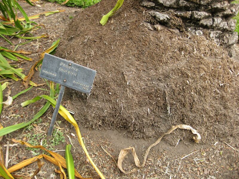 File:IMG 4078 hunt0904.jpg