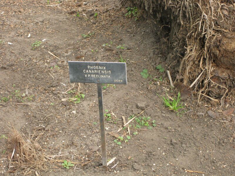 File:IMG 4080 hunt0904.jpg