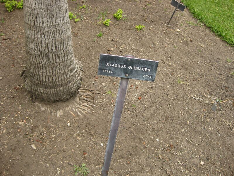 File:IMG 4082 hunt0904.jpg