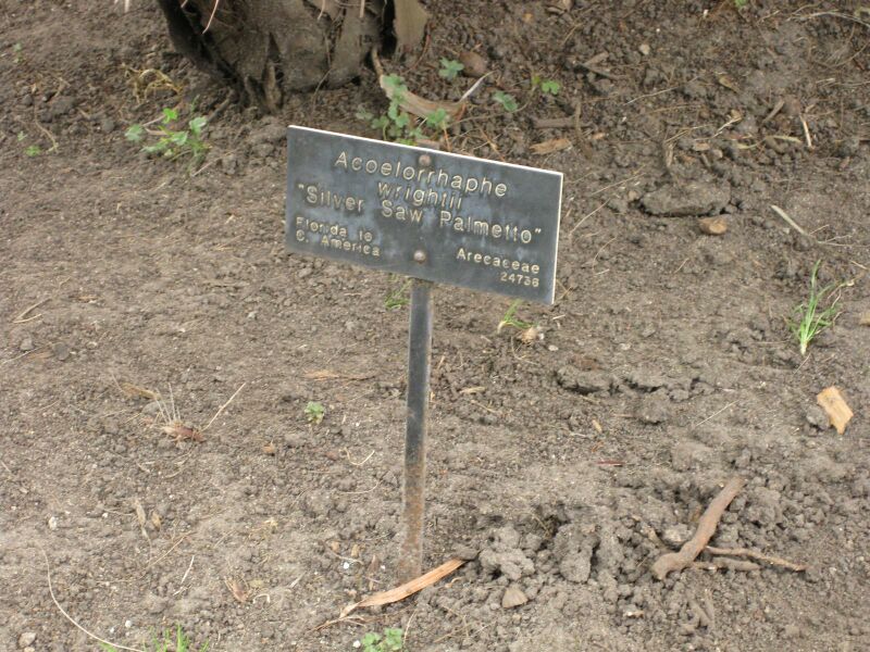 File:IMG 4084 hunt0904.jpg