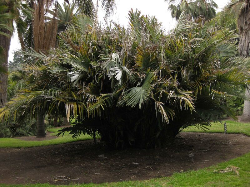 File:IMG 4085 hunt0904.jpg