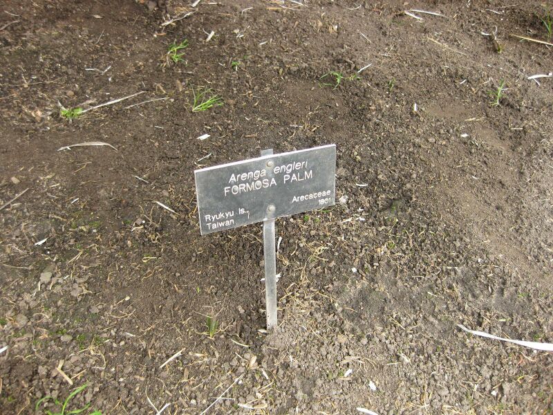 File:IMG 4087 hunt0904.jpg