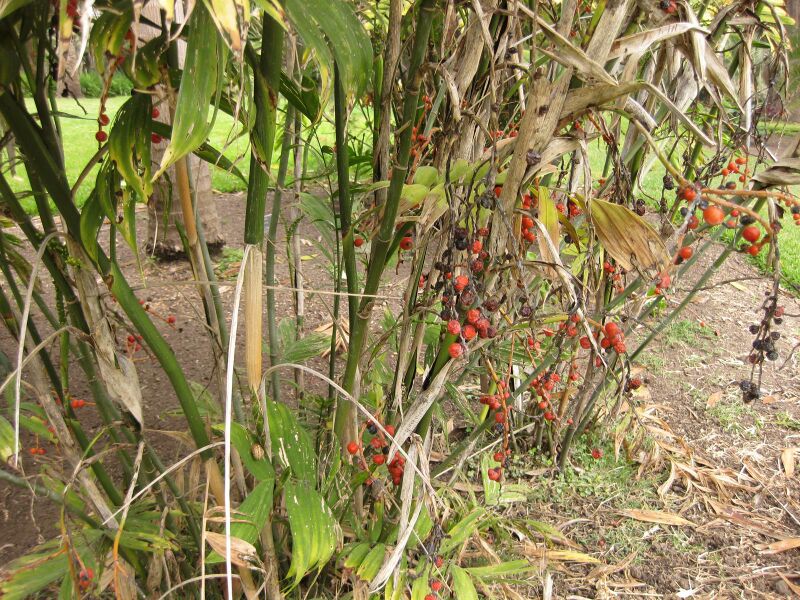 File:IMG 4089 hunt0904.jpg