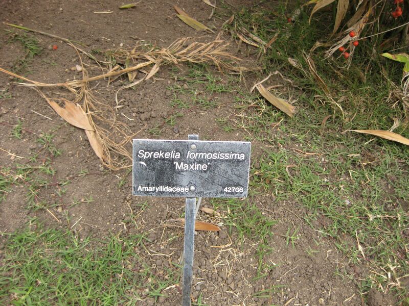 File:IMG 4090 hunt0904.jpg