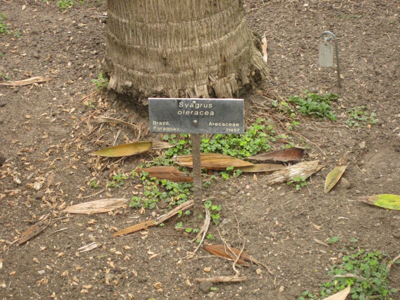 File:IMG 4092 hunt0904.jpg