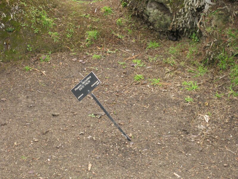 File:IMG 4095 hunt0904.jpg