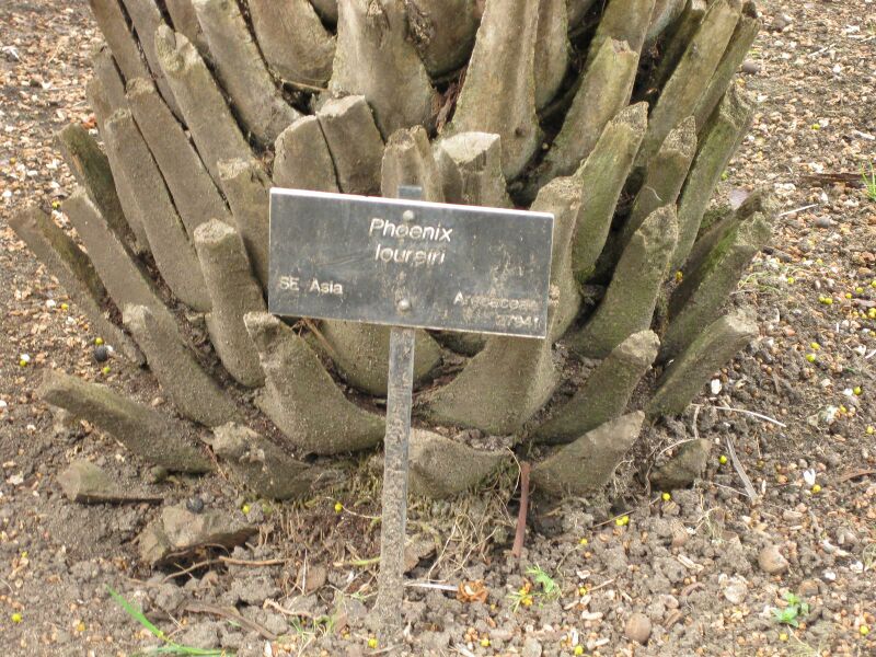 File:IMG 4097 hunt0904.jpg