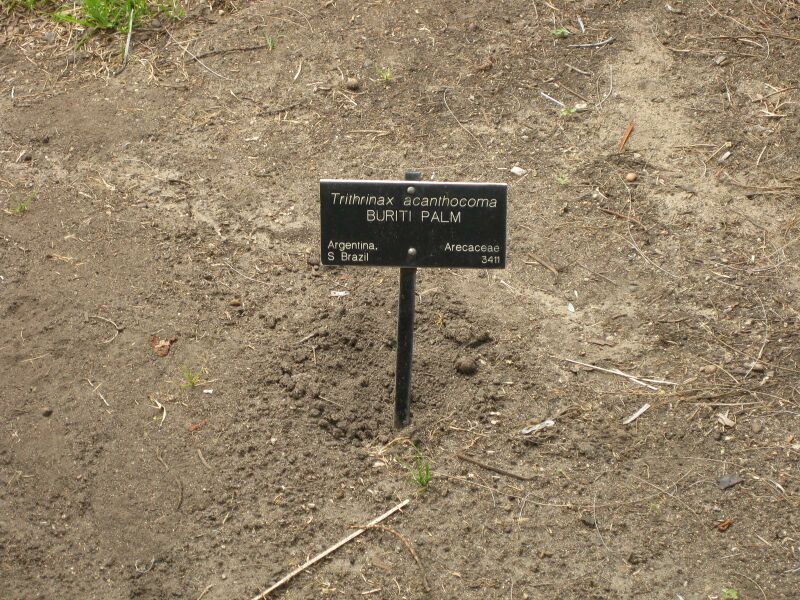 File:IMG 4100 hunt0904.jpg