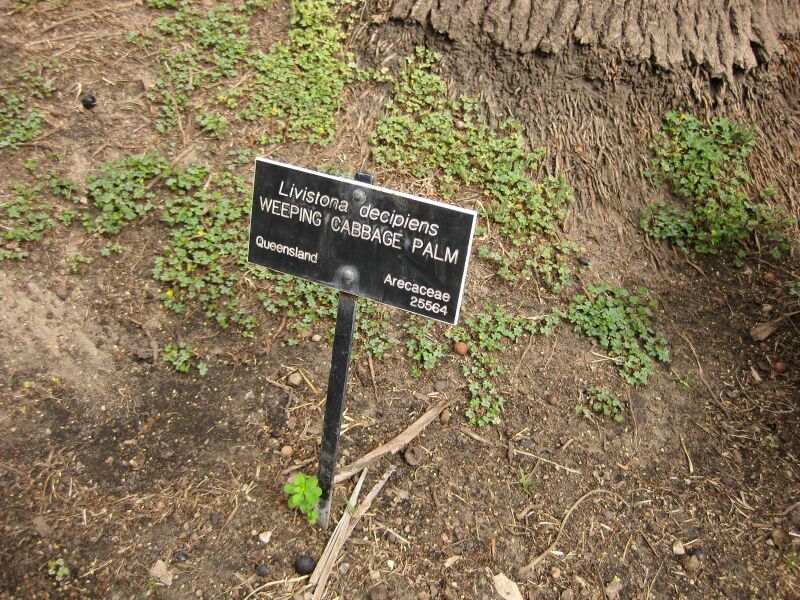 File:IMG 4103 hunt0904.jpg