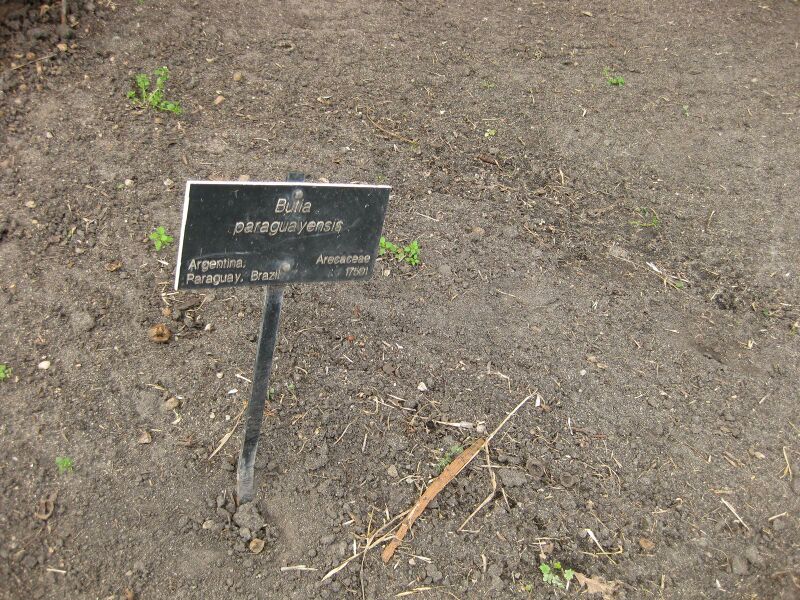 File:IMG 4111 hunt0904.jpg