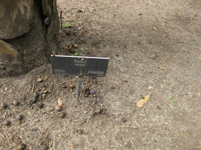 File:IMG 4114 hunt0904.jpg