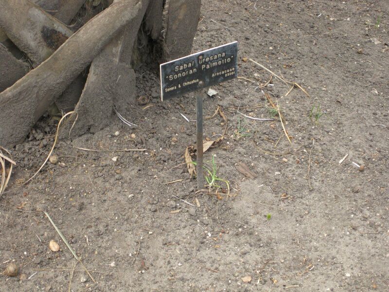 File:IMG 4117 hunt0904.jpg