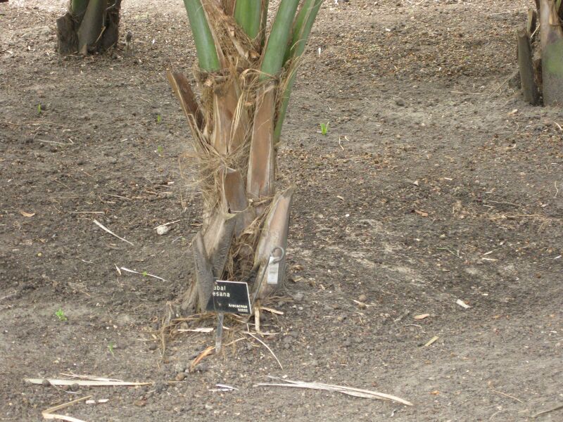 File:IMG 4119 hunt0904.jpg