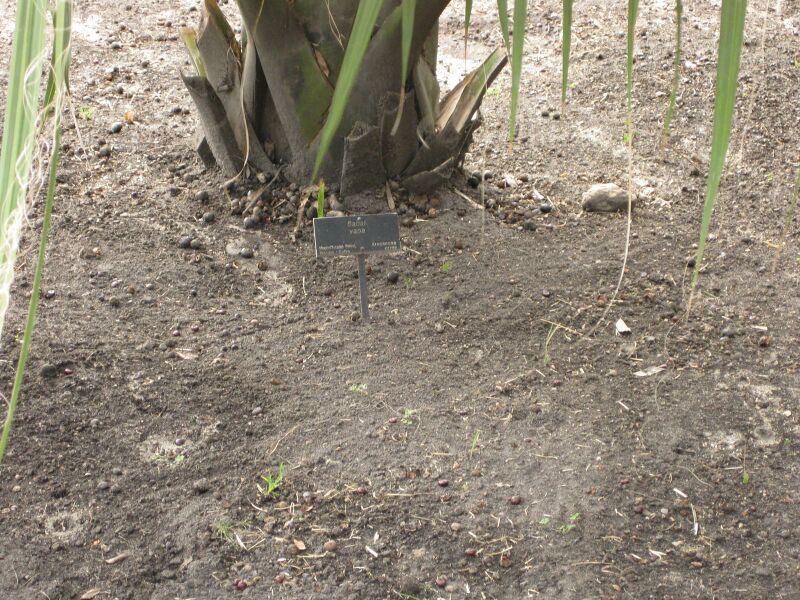 File:IMG 4121 hunt0904.jpg