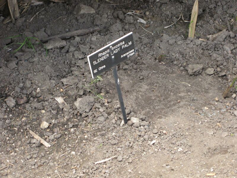 File:IMG 4123 hunt0904.jpg