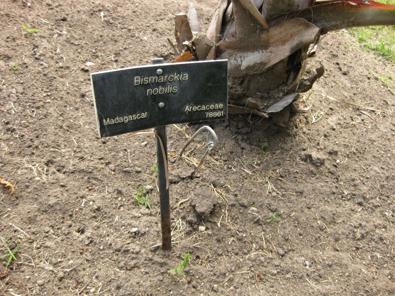 File:IMG 4125 hunt0904.jpg