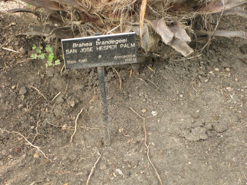 File:IMG 4127 hunt0904.jpg