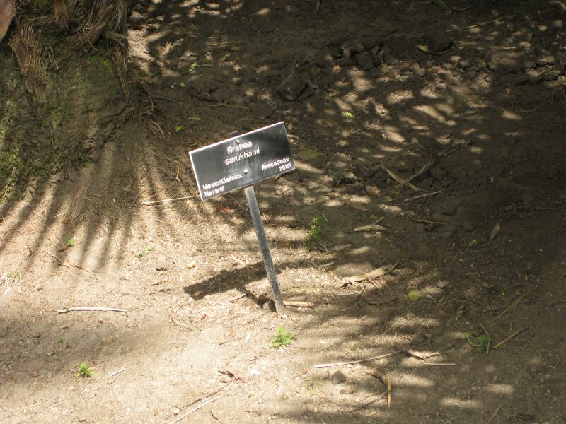 File:IMG 4129 hunt0904.jpg