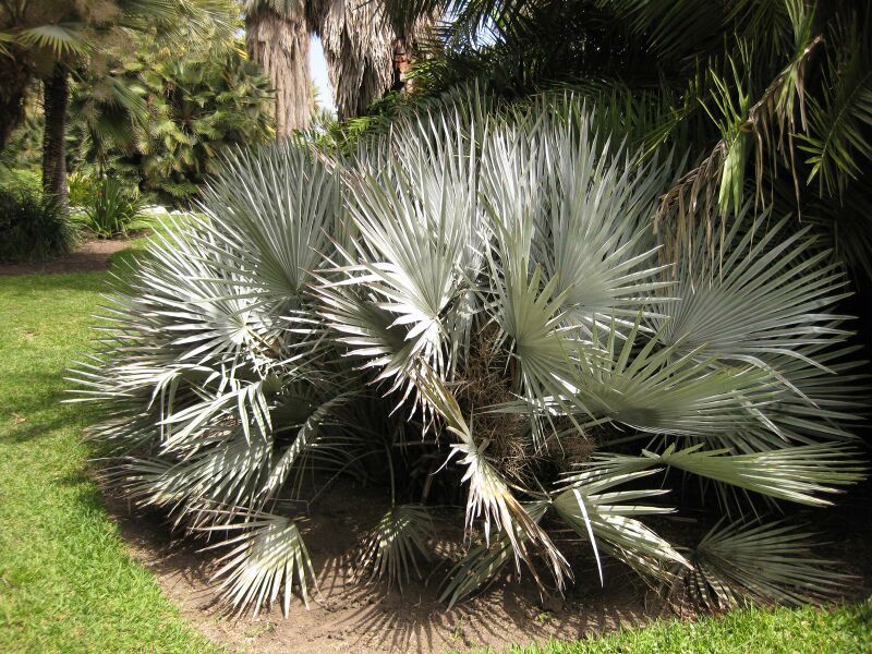 File:IMG 4130 hunt0904.jpg