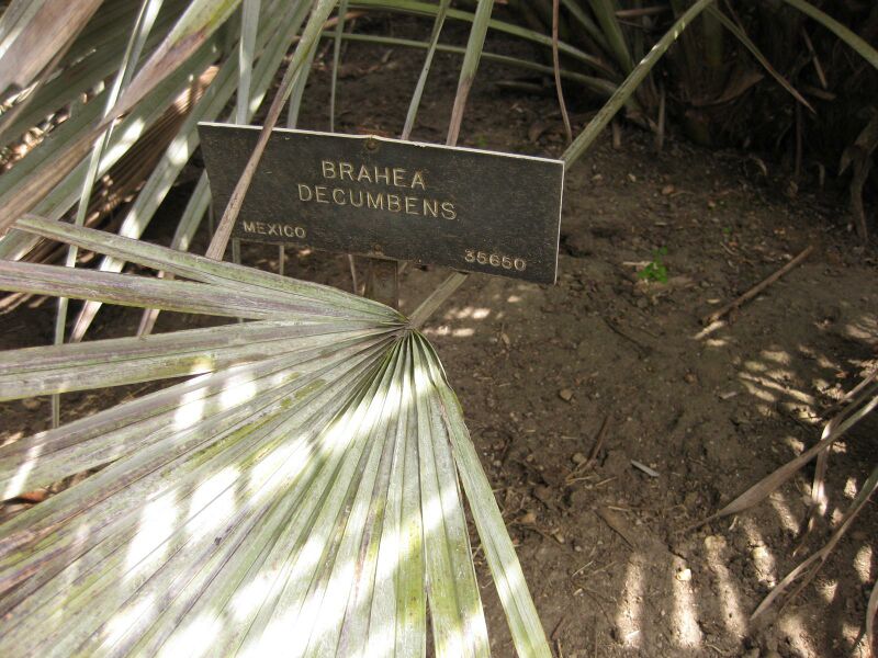 File:IMG 4131 hunt0904.jpg