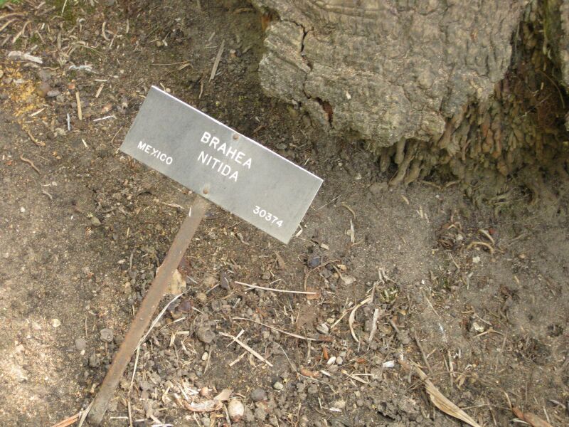 File:IMG 4133 hunt0904.jpg