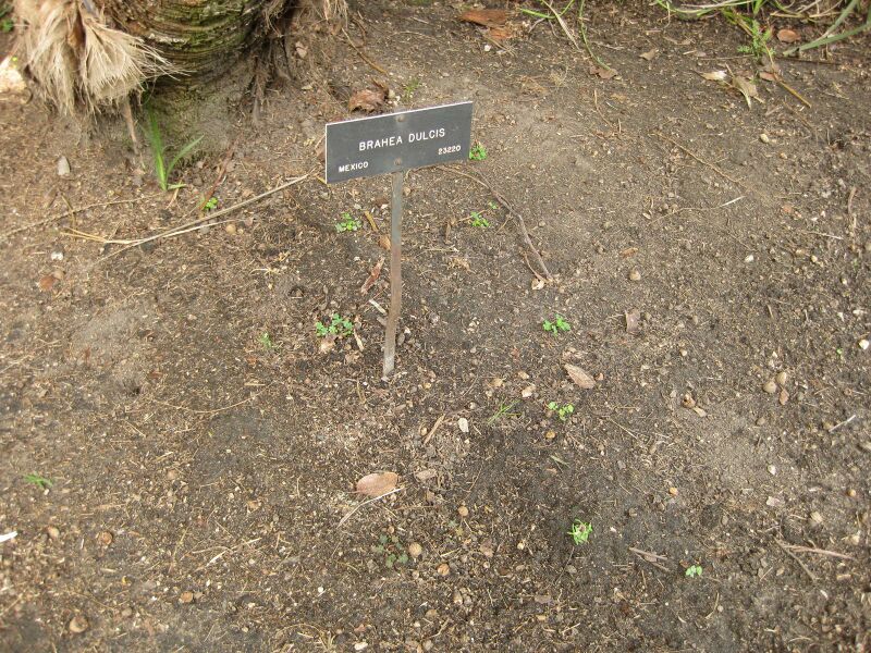 File:IMG 4135 hunt0904.jpg